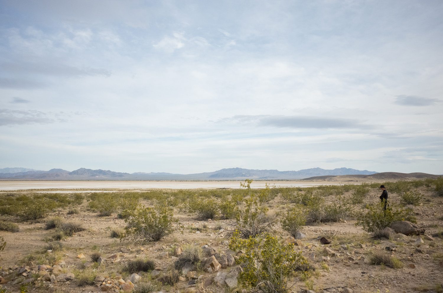 Desert Studies Center, Zzyzx, CA – Photo by Christopher Wormald