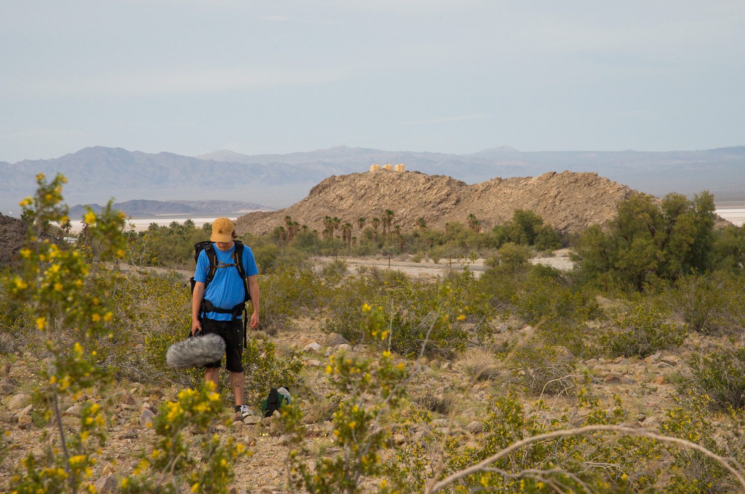 Desert Studies Center, Zzyzx, CA – Photo by Christopher Wormald