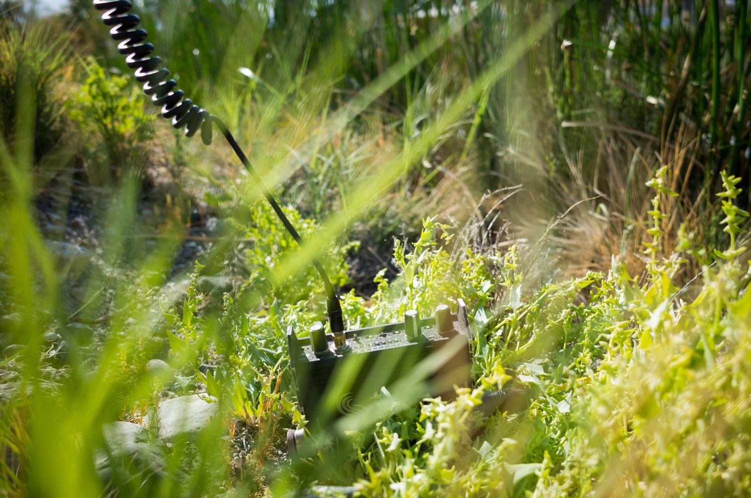 Desert Studies Center, Zzyzx, CA – Photo by Christopher Wormald