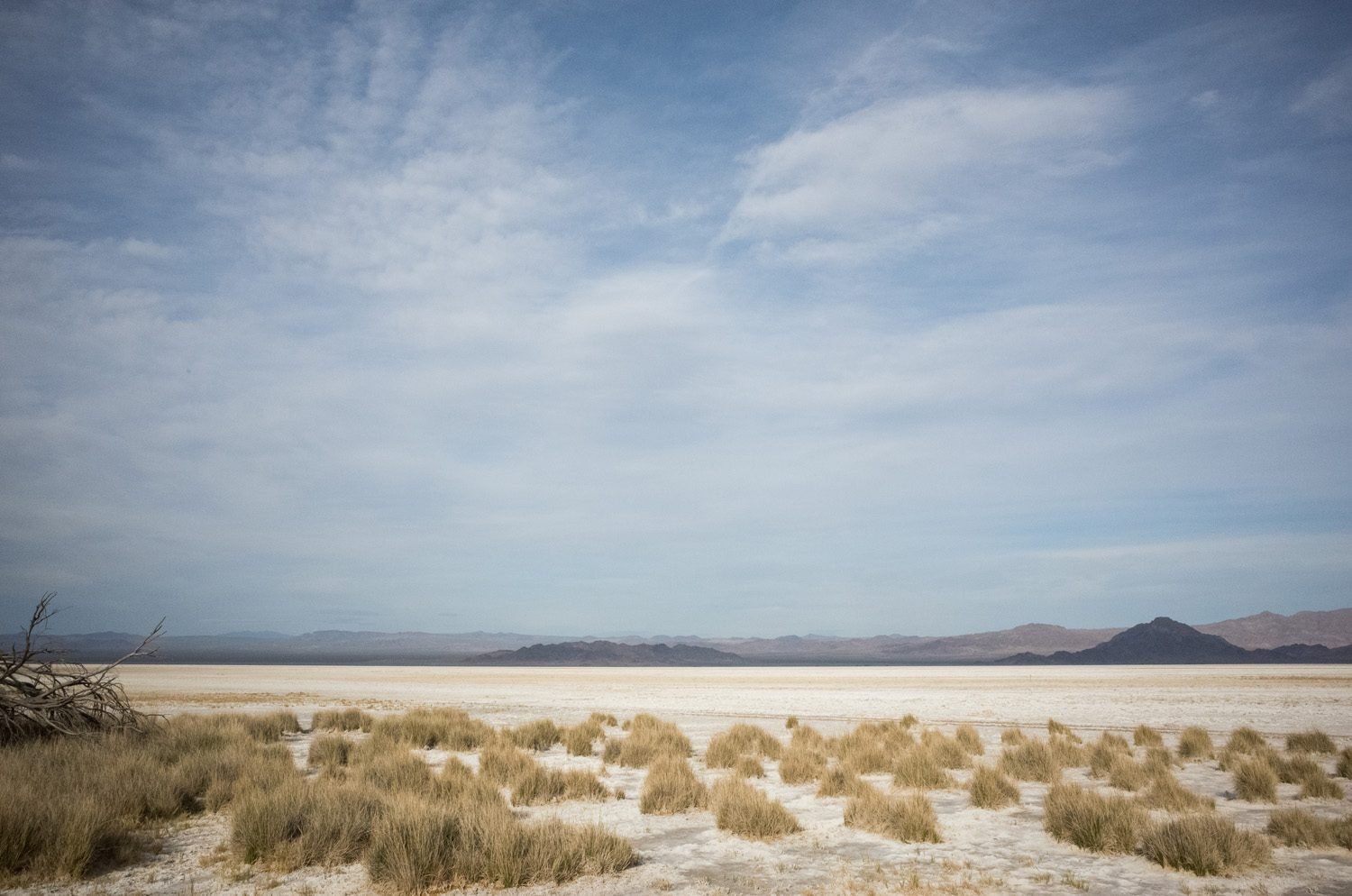 Desert Studies Center, Zzyzx, CA – Photo by Christopher Wormald