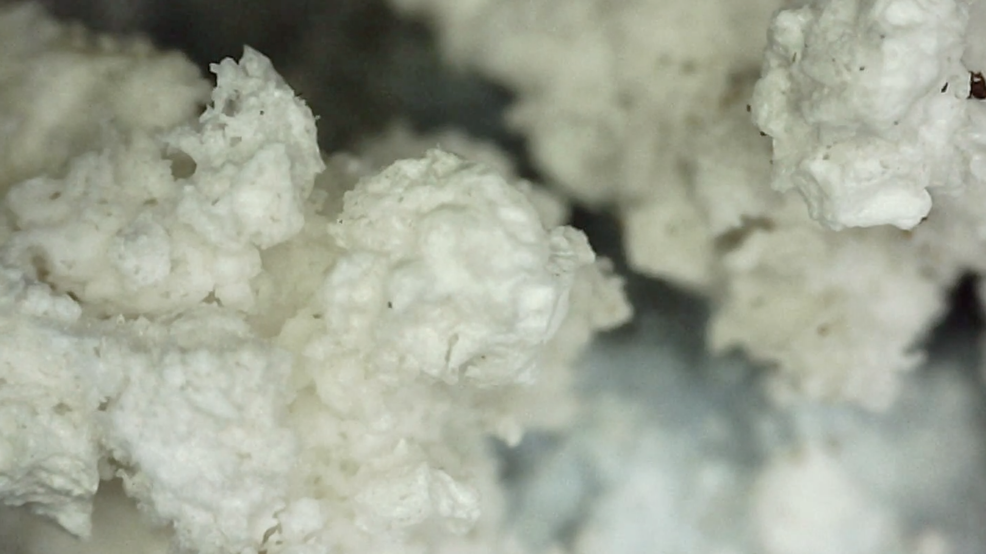 Close up of white mineral rock.