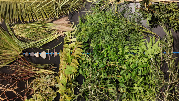 Various plants and a small set of rocks set against a dark grey background with a singular blue line in the middle.