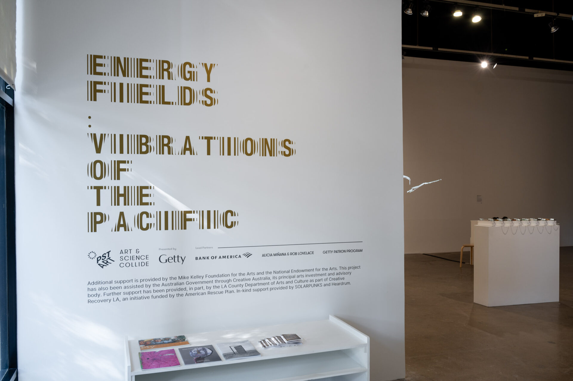 Energy Fields: Vibrations of the Pacific, installation view.
Co-presented by Fulcrum Arts & Chapman University. September 15, 2024 - January 19th, 2025. Photo by Christopher Wormald.