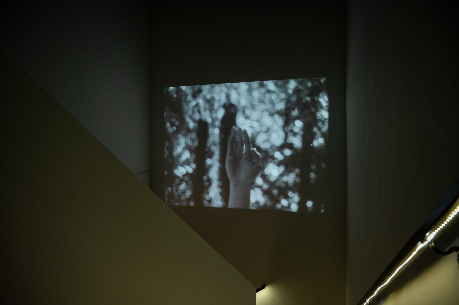 Rachel Shearer, Whakapapa of Shimmers, 2022/2024. Installation view at Energy Fields: Vibrations of the Pacific, co-presented by Fulcrum Arts & Chapman University.
Photo by Christopher Wormald.

